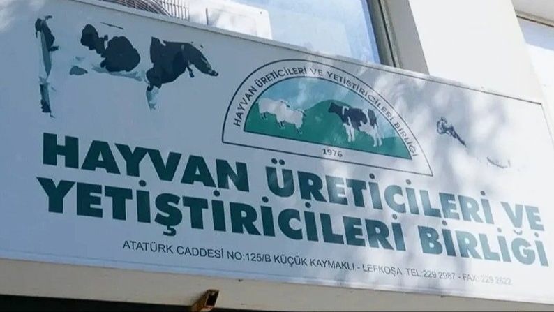 Hayvancılar Birliği'nden soru yağmuru: Bu etleri kim getirdi?