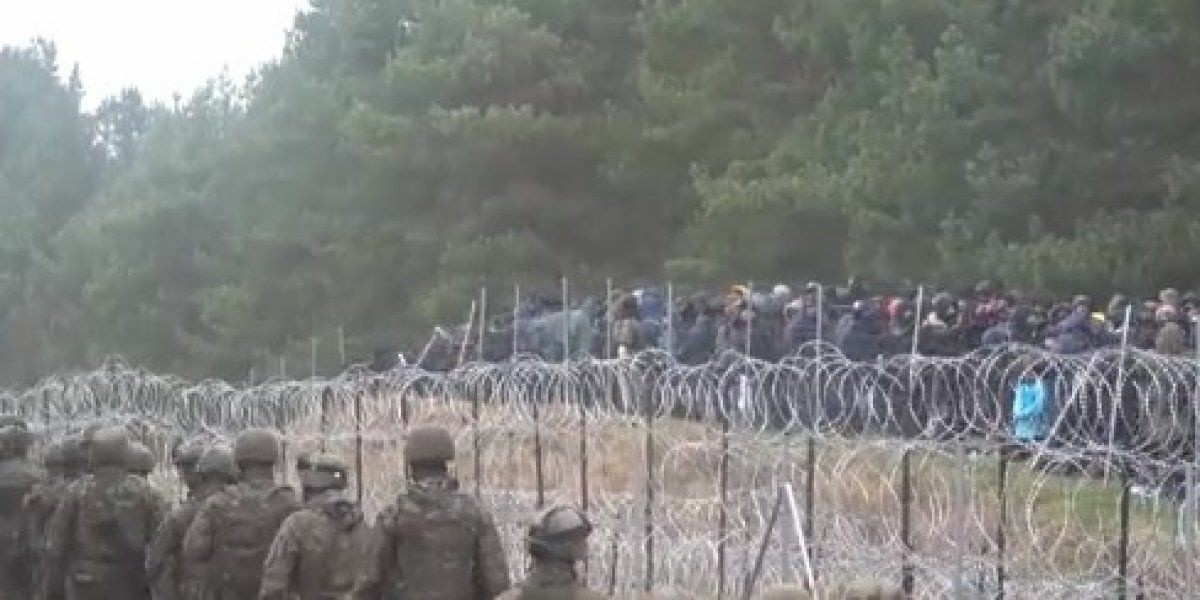 глухая тайга бурелом. темнохвойная пихтовая тайга сибирь. погран столб с польшей. чаща посёлок ленинградская. посёлок чаща гатчинский район.