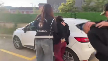 İstanbul'da, KKTC ve iki ülkeye uzanan yasa dışı yumurta ticareti operasyonu